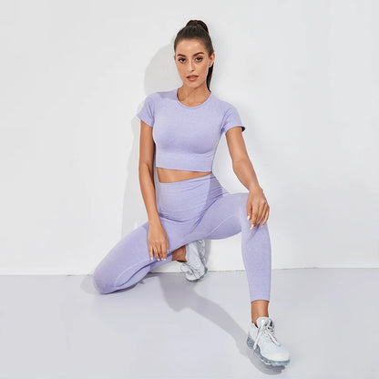 FlexiForm Seamless Fitness Set