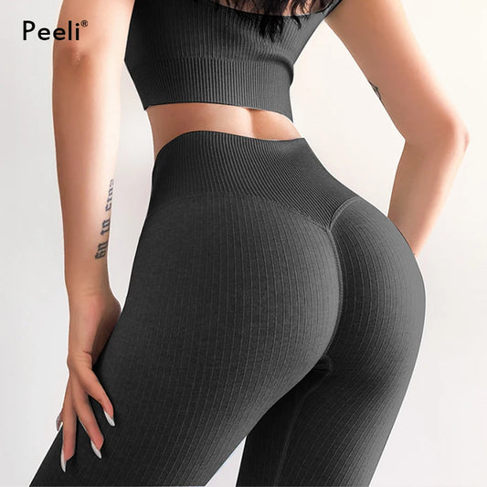 Peeli Ribbed Seamless Booty Lift Leggings